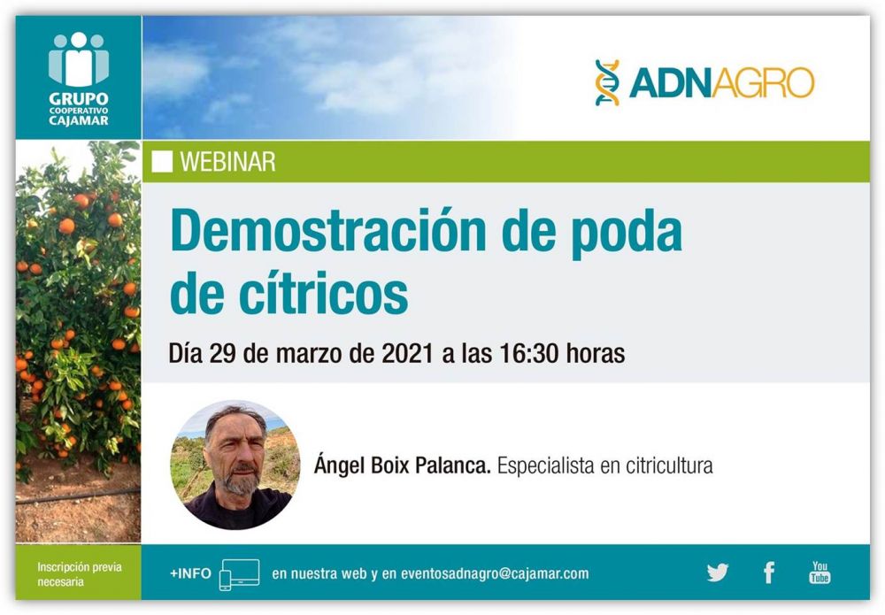  CAJAMAR - Webinar 